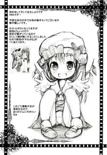 東方のほん2, 日本語