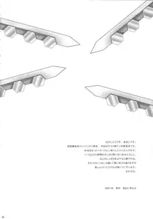 HできれいなおねえさんM3, 日本語