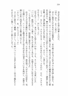 仙獄学艶戦姫ノブナガッ! 弐 北宮学園生徒会長選挙戦, 日本語