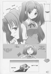 Tsukihime COMPLEX, English