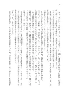 目覚めると従姉妹を護る美少女剣士になっていたⅢ, 日本語