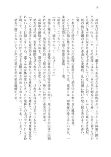 目覚めると従姉妹を護る美少女剣士になっていたⅢ, 日本語