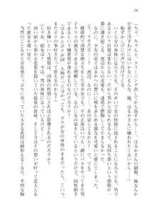 目覚めると従姉妹を護る美少女剣士になっていたⅢ, 日本語