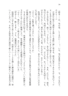 目覚めると従姉妹を護る美少女剣士になっていたⅢ, 日本語