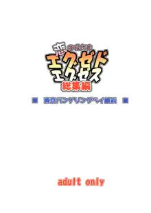 恋の呪文はエグゼドエグゼス 総集編, 日本語