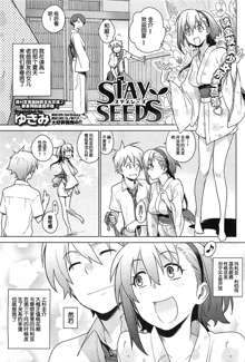 STAY SEEDS, 中文