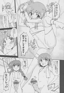 突発的!!リリカル漫画なのC77 妄想少女リリカルフェイトちゃん, 日本語