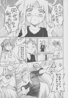 突発的!!リリカル漫画なのC77 妄想少女リリカルフェイトちゃん, 日本語