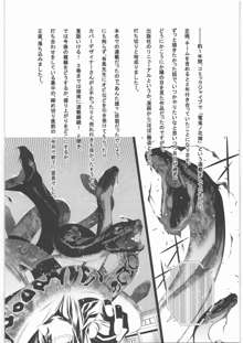 きっと類似物にもなれない同人たちに告げる, 日本語