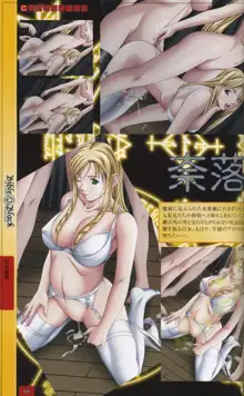 Bible Black: La Noche de Walpurgis, 日本語