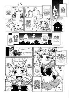 Chibiusa no Himitsu Diary, English