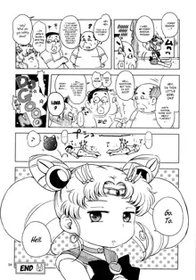 Chibiusa no Himitsu Diary, English