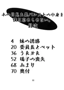 あの日見た黒パンストの中身を僕は忘れられない。, 日本語