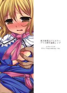 Touhou Ryoujoku 24 Full Color Alice Yagai Saimin Rape, 中文