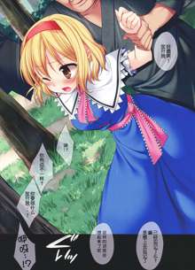 Touhou Ryoujoku 24 Full Color Alice Yagai Saimin Rape, 中文