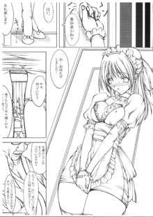 Research of a maid, 日本語