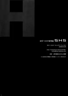 SHS -Suzumiya Haruhi no Soushuuhen-, 中文