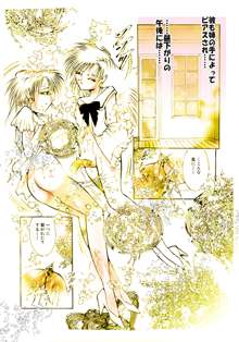 女装美天使 Vol.1, 日本語