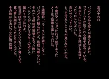 2人の日記, 日本語