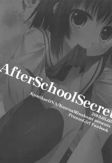 After School Secret, 日本語