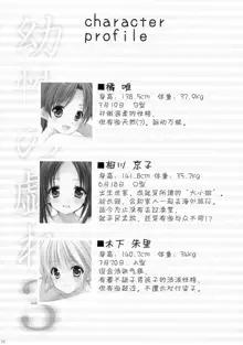 Yousei no Tawamure 3, 中文