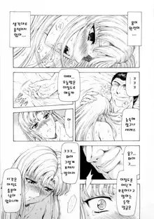 Ginryuu no Reimei | Dawn of the Silver Dragon Vol. 2, 한국어