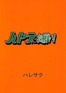 ハヤテにお願い!, 日本語