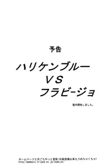 美少女戦士幻想Vol.1 ハリケンブルー青い恥辱, 日本語