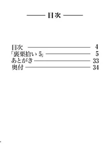 裏栗拾い 5, 日本語