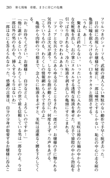 絢爛！ 帝都少女探偵団 赤い謀略を撃て！, 日本語