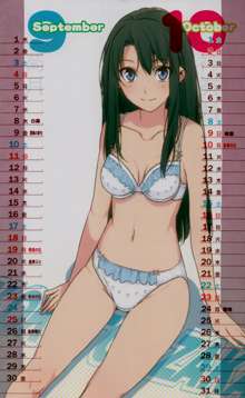 2011 TYPE-MOON CALENDAR, 日本語