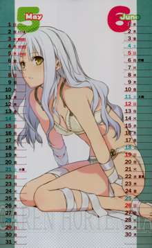 2011 TYPE-MOON CALENDAR, 日本語