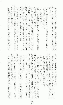 二次元ドリームノベルズ外伝 淫虐のヒロインたち, 日本語