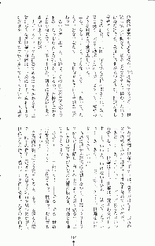 二次元ドリームノベルズ外伝 淫虐のヒロインたち, 日本語