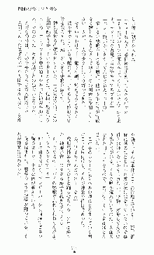 二次元ドリームノベルズ外伝 淫虐のヒロインたち, 日本語