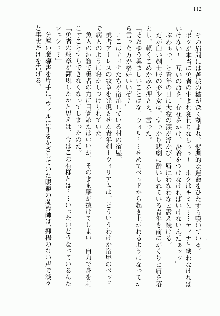 邪悪な魔王が伝説の女勇者に転生したようです, 日本語