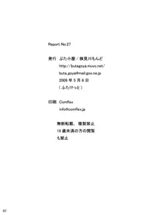 Report No.27, English