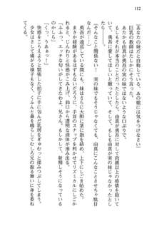 お兄ちゃんが大好きな妹は実はプロの妹だったようです, 日本語