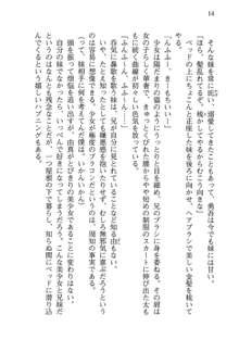 お兄ちゃんが大好きな妹は実はプロの妹だったようです, 日本語