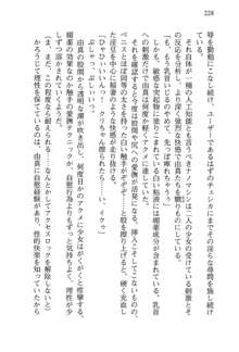 お兄ちゃんが大好きな妹は実はプロの妹だったようです, 日本語