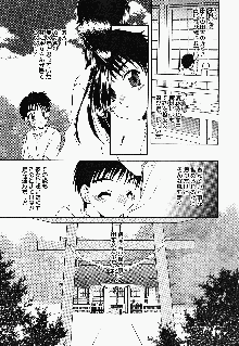 お騒がせくノ一若葉ちゃん, 日本語