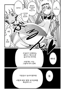 Toaru Seinen to Mithra Ch. 1, 한국어