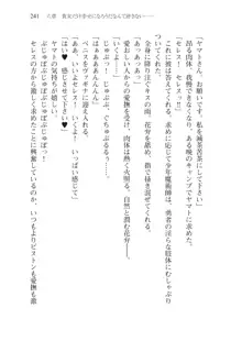 僕のパーティーが修羅場すぎて世界が救えない2, 日本語