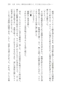 僕のパーティーが修羅場すぎて世界が救えない2, 日本語