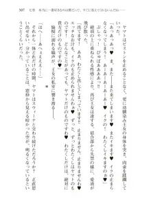 僕のパーティーが修羅場すぎて世界が救えない2, 日本語