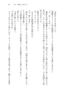 僕のパーティーが修羅場すぎて世界が救えない2, 日本語