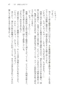 僕のパーティーが修羅場すぎて世界が救えない2, 日本語