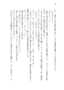 僕のパーティーが修羅場すぎて世界が救えない2, 日本語