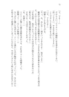 僕のパーティーが修羅場すぎて世界が救えない2, 日本語