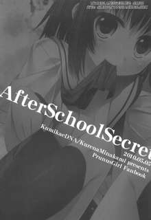 After School Secret, English